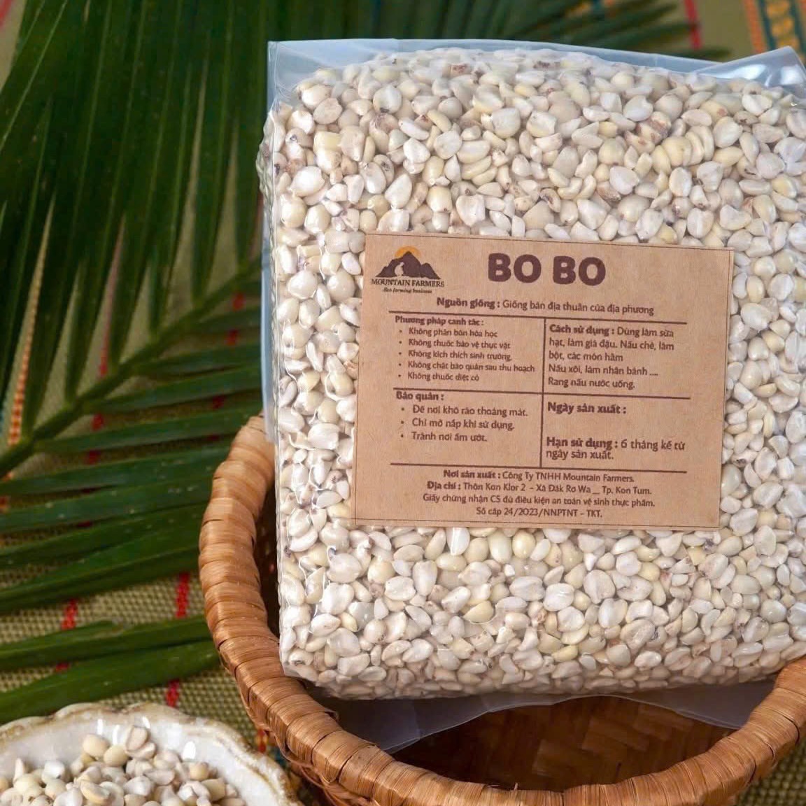 bo bo - Ảnh 6