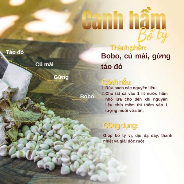 combo - canh hầm bổ tỳ
