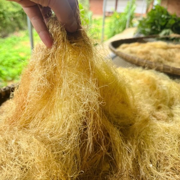 combo - nấu nước mát