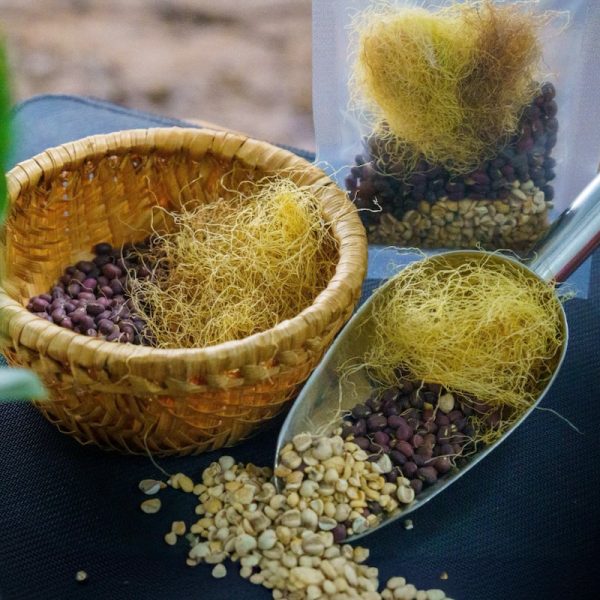 combo - trà mát dưỡng huyết