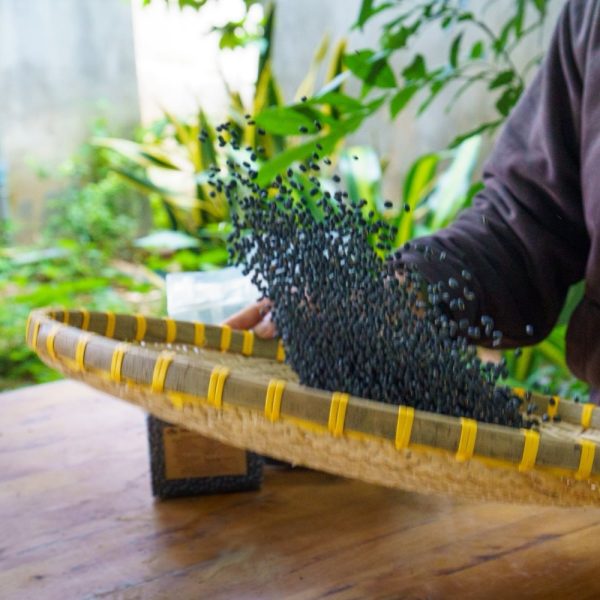 đậu đen xanh lòng