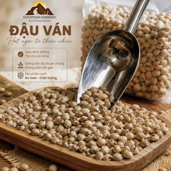 đậu ván