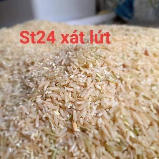 gạo ST24 - Ảnh 19