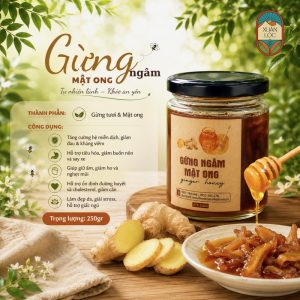 gừng lát ngâm mật ong rừng