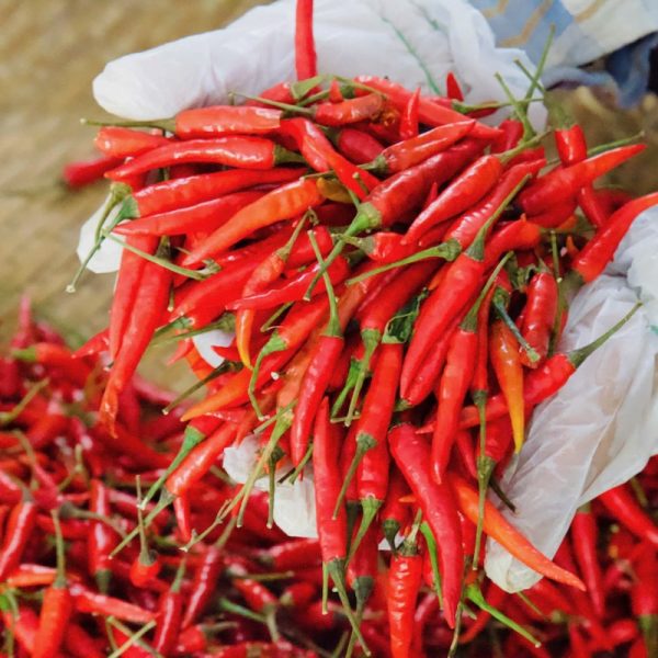 ớt trái khô