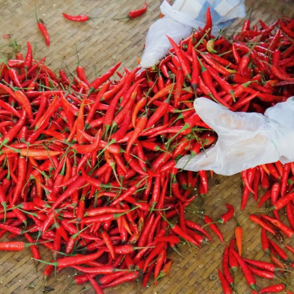 ớt trái khô