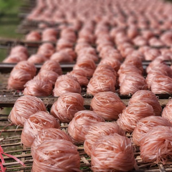 phở gạo