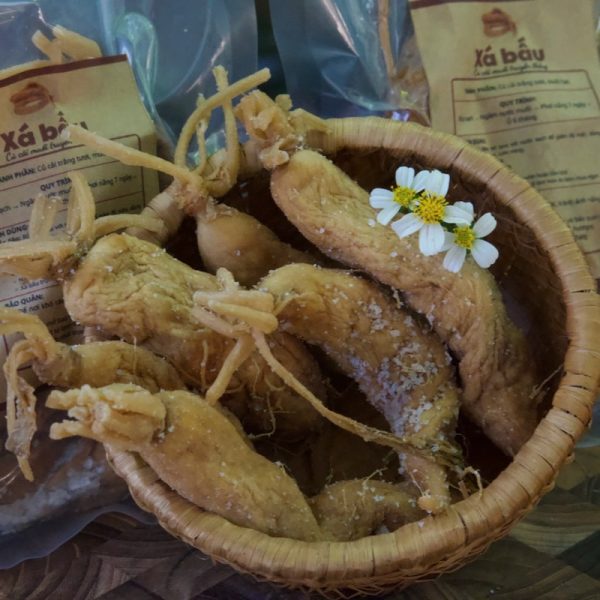 xá bấu