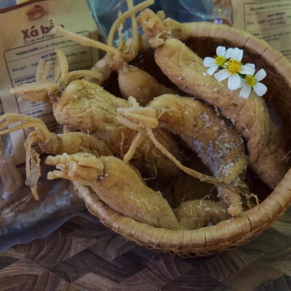 xá bấu